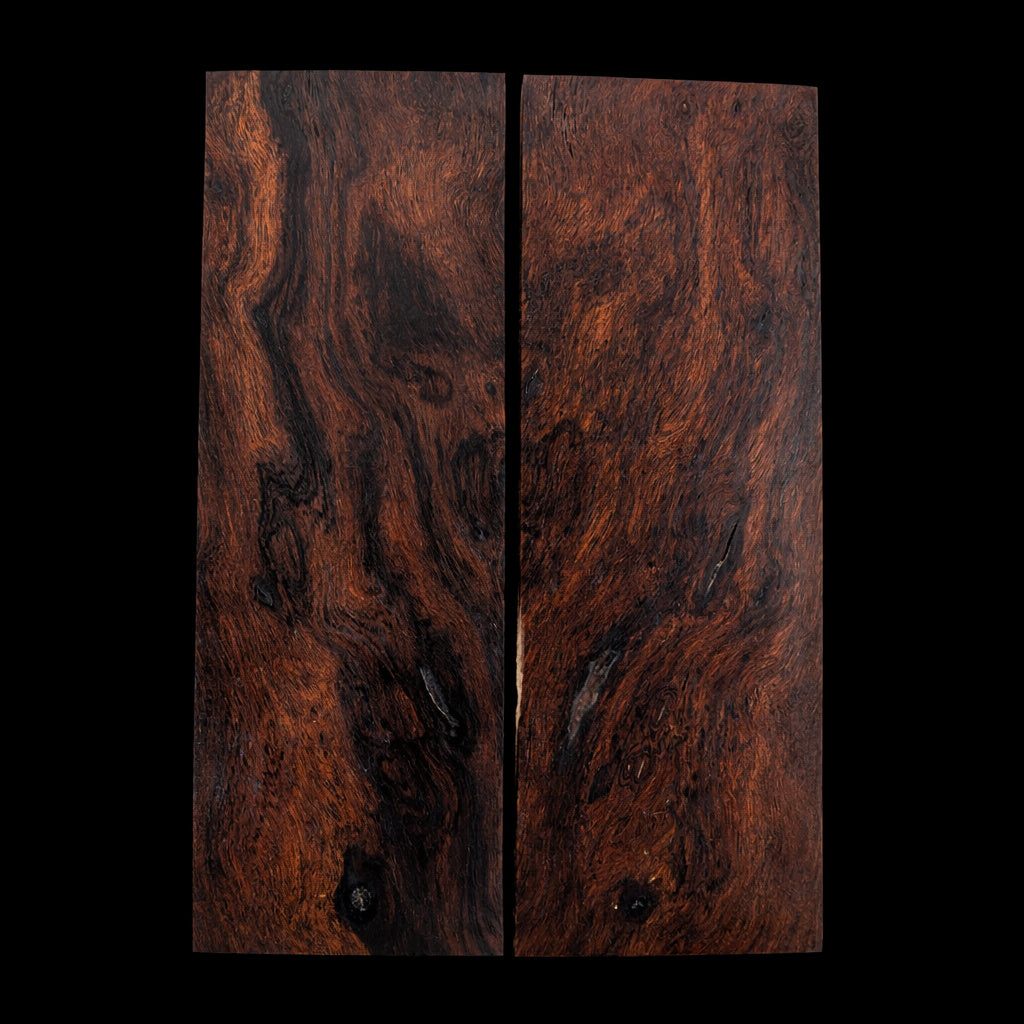 Desert Ironwood Scales #332