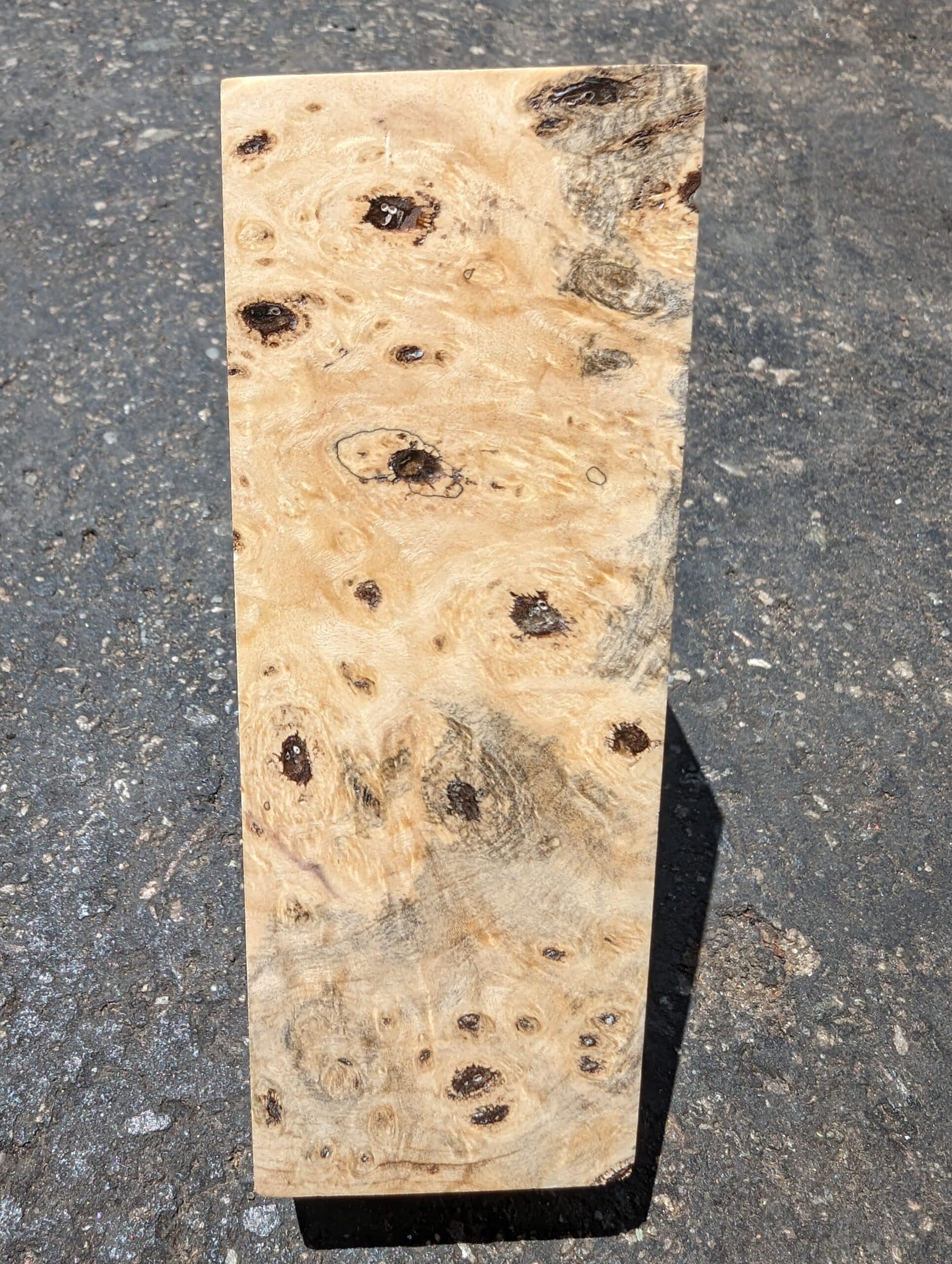 Buckeye Burl Block 60 Tru Grit, Inc. The Leading Edge in Abrasives