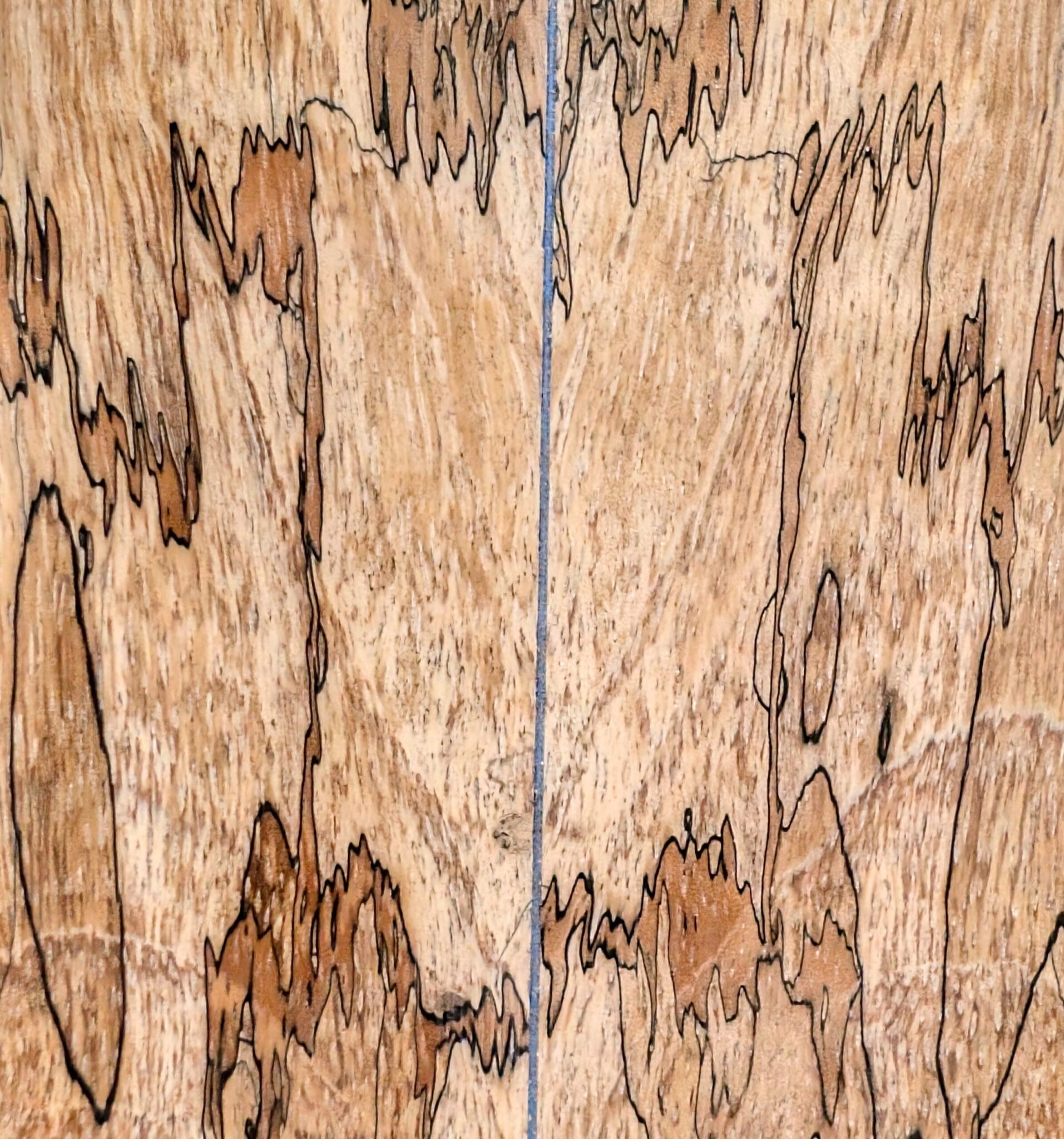 Spalted Tamarind