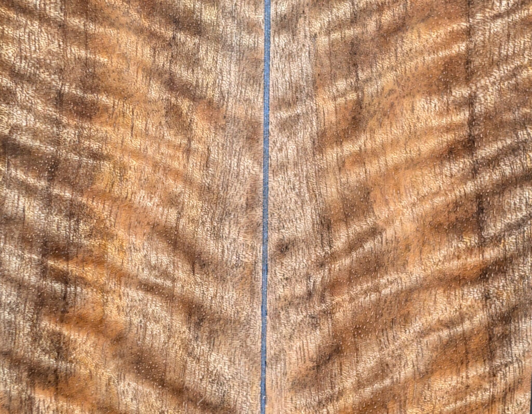 Spalted Mango
