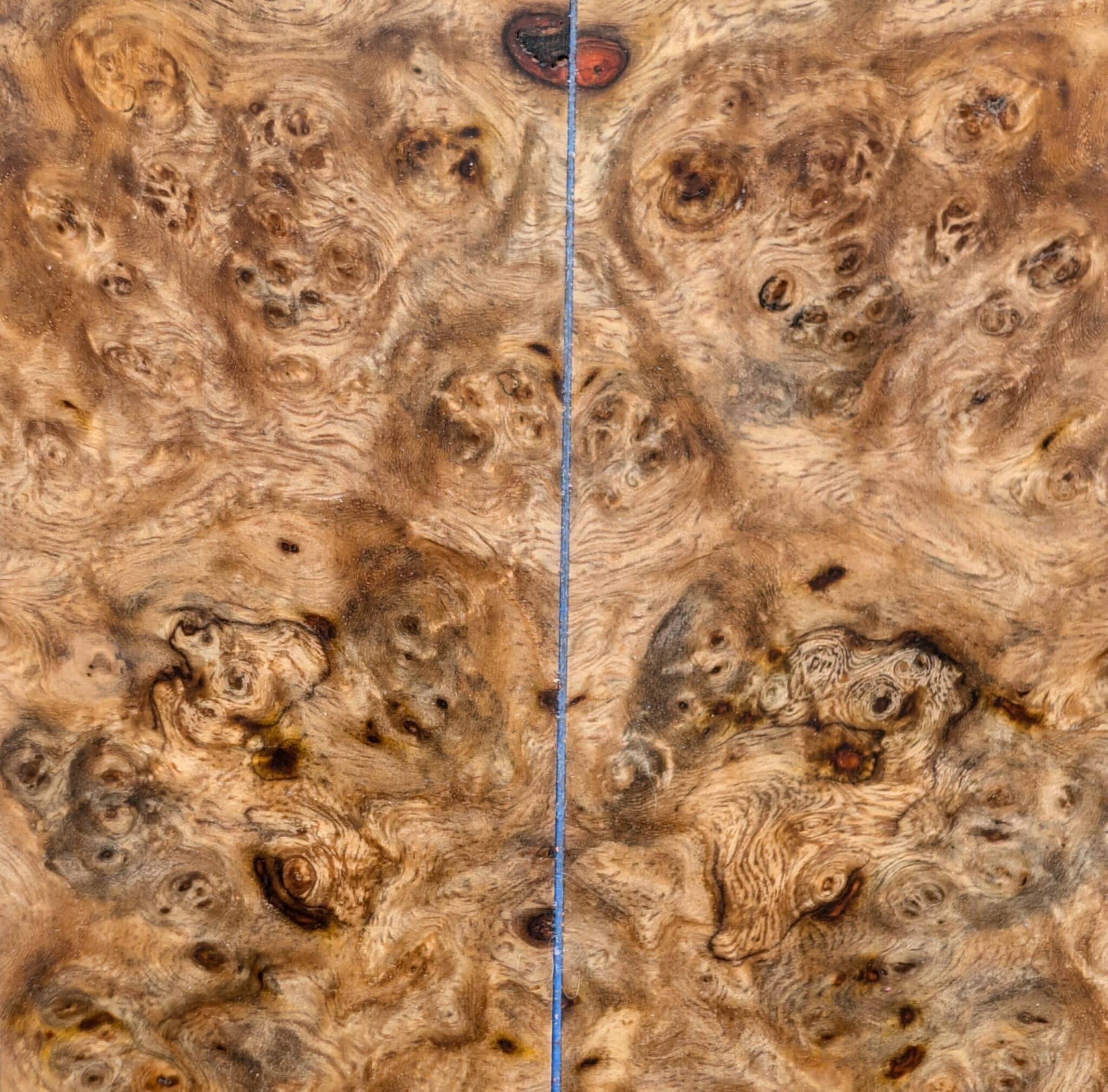 Amboyna Burl