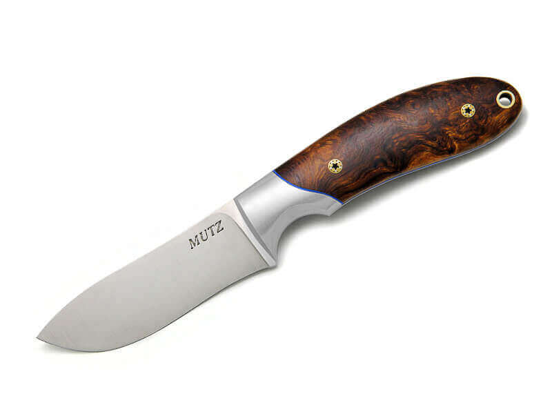 Desert Ironwood